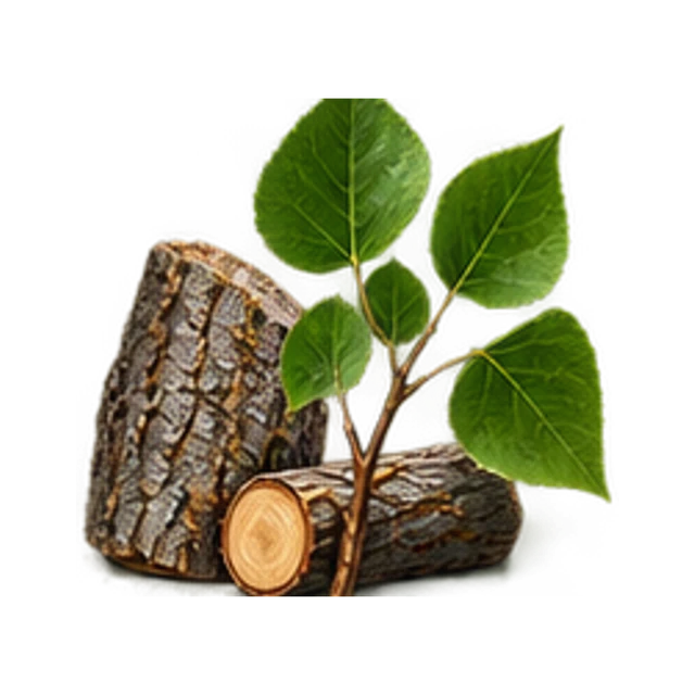 Poplar guide illustration