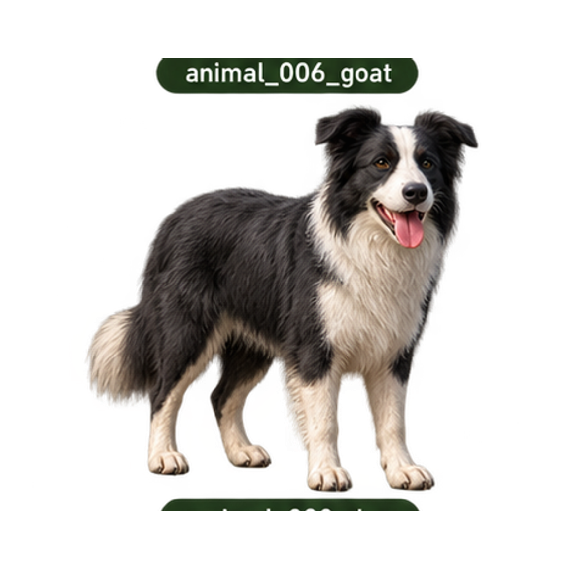 Dog guide illustration